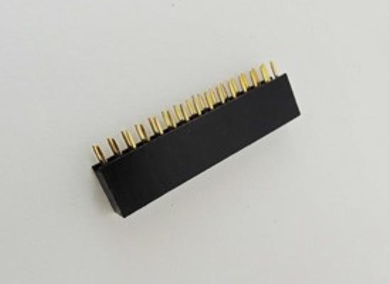 DS1023-2X15S